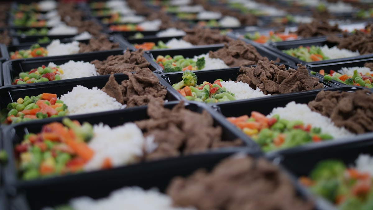 Balanced protein and vegetable meal plan